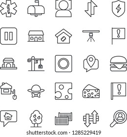 Thin Line Icon Set - ambulance star vector, important flag, mobile tracking, cargo container, pause button, protect, record, data exchange, face id, fruit tree, smart home, crane, mailbox, hamburger