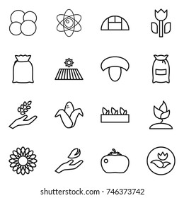 thin line icon set : atom core, greenhouse, perishable, flour, field, mushroom, harvest, corn, seedling, sprouting, flower, hand leaf, tomato, ecology