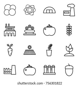 Thin line icon set : atom core, hangare, factory, flower bed, tomato, spikelets, carrot, field, seedling, sprouting, grain elevator, acorn