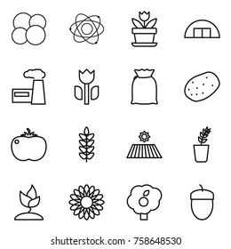 Thin line icon set : atom core, flower, hangare, factory, perishable, flour, potato, tomato, spikelets, field, seedling, sprouting, garden, acorn