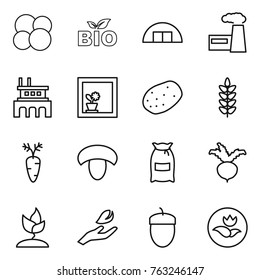Thin line icon set : atom core, bio, hangare, factory, flower in window, potato, spikelets, carrot, mushroom, flour, beet, sprouting, hand leaf, acorn, ecology