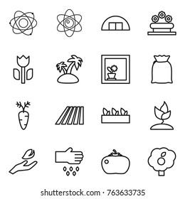 Thin line icon set : atom, hangare, flower bed, perishable, island, in window, flour, carrot, field, seedling, sprouting, hand leaf, sow, tomato, garden