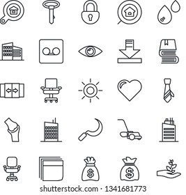 Thin Line Icon Set - automatic door vector, money bag, lawn mower, sun, sickle, heart, eye, joint, record, download, lock, office chair, blank box, tie, book, building, estate search, city house