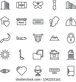 Thin Line Icon Set - automatic door vector, sun, plane, lock, office building, pennant, butterfly, house, sickle, heart, lungs, eye, folder document, chair, tie, mountains, rooms, sweet home, city