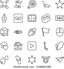 Thin Line Icon Set - automatic door vector, pennant, mouse, lawn mower, house, heart hand, eye, joint, molecule, plane, play button, record, ink pen, plan, estate search, sweet home, ladle, omelette