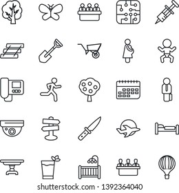 Thin Line Icon Set - baby vector, bed, meeting, shovel, tree, wheelbarrow, butterfly, syringe, run, pregnancy, signpost, plane, term, paper tray, manager, fruit, children room, table, phyto bar