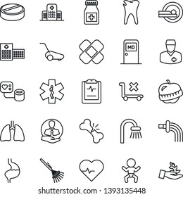 Thin Line Icon Set - baby vector, medical room, rake, watering, lawn mower, heart pulse, blood pressure, pills, bottle, patch, tomography, ambulance star, stomach, lungs, caries, broken bone, diet