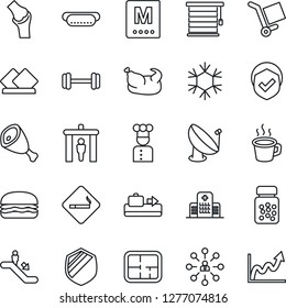 Thin Line Icon Set - baggage conveyor vector, security gate, escalator, smoking place, hierarchy, pills bottle, barbell, joint, hospital, cargo, shield, satellite antenna, coffee, plan, cook, menu