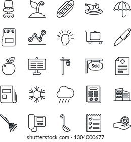Thin Line Icon Set - baggage trolley vector, office chair, pen, rake, sproute, rain, garden light, diagnosis, umbrella, sd, presentation board, news, checklist, point graph, contract, sold signboard