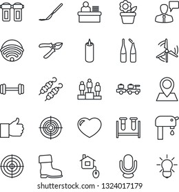 Thin Line Icon Set - baggage larry vector, speaking man, pedestal, flower in pot, pruner, boot, blood test vial, ampoule, scalpel, barbell, pin, microphone, finger up, heart, manager desk, target