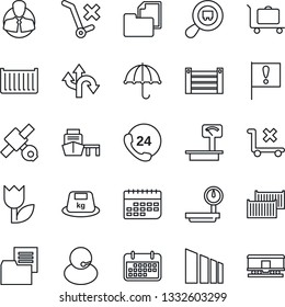 Thin Line Icon Set - baggage trolley vector, route, important flag, satellite, 24 hours, support, client, cargo container, term, sea port, folder document, umbrella, no, tulip, sorting, heavy