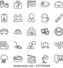 Thin Line Icon Set - baggage trolley vector, no smoking, bomb in case, storm cloud, identity card, meeting, lawn mower, garden knife, greenhouse, blood pressure, pills, cash, up side sign, radio