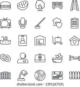 Thin Line Icon Set - baggage trolley vector, bed, ladder, tree, hoe, bench, doctor case, vinyl, tv, microphone, chain, clipboard, calendar, identity card, support, desk lamp, pool, warehouse, fence