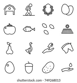 thin line icon set : barn, tourist, hawaiian wreath, eggs, tomato, fish, seeds, field, pear, goose, hand leaf, horse, egg, acorn, potato, and drop
