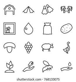 Thin line icon set : barn, tent, flippers, palm hammock, flower in window, drop, flour, potato, mushroom, grape, sheep, goose, sprouting, hand leaf, wasp, and