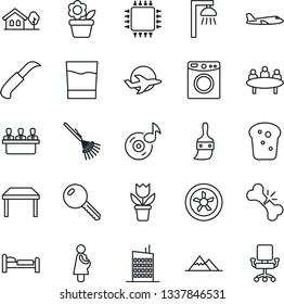 Thin Line Icon Set - bed vector, plane, meeting, flower in pot, rake, garden knife, broken bone, pregnancy, themes, music, house with tree, mountains, key, table, city, drink, bread, chip, fan