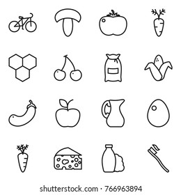 Thin line icon set : bike, mushroom, tomato, carrot, honeycombs, cherry, flour, corn, eggplant, apple, jug, egg, cheese, shampoo, tooth brush