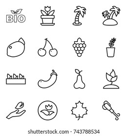 thin line icon set : bio, flower, palm, island, lemon, cherry, grape, seedling, eggplant, pear, sprouting, hand leaf, ecology, maple, blower
