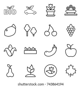 thin line icon set : bio, eco car, flower, bed, lemon, trees, cherry, grape, corn, seedling, eggplant, apple, pear, sprouting, ecology, maple leaf