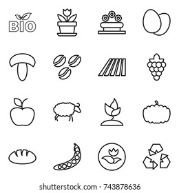thin line icon set : bio, flower, bed, eggs, mushroom, coffee seeds, field, grape, apple, sheep, sprouting, pumpkin, bread, peas, ecology, recycling