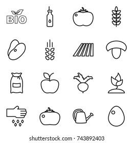 thin line icon set : bio, vegetable oil, tomato, spikelets, beans, field, mushroom, flour, apple, beet, sprouting, sow, watering can, egg