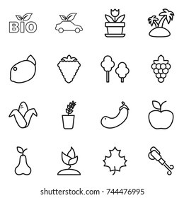 thin line icon set : bio, eco car, flower, island, lemon, berry, trees, grape, corn, seedling, eggplant, apple, pear, sprouting, maple leaf, blower