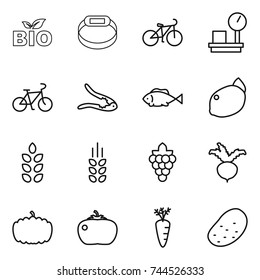 thin line icon set : bio, smart bracelet, bike, warehouse scales, walnut crack, fish, lemon, spikelets, grape, beet, pumpkin, tomato, carrot, potato