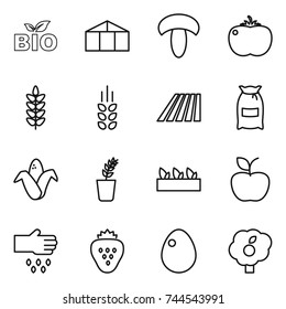 thin line icon set : bio, greenhouse, mushroom, tomato, spikelets, field, flour, corn, seedling, apple, sow, strawberry, egg, garden