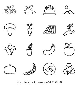 thin line icon set : bio, eco car, flower bed, landscape, mushroom, carrot, field, harvest, corn, seedling, eggplant, apple, pumpkin, peas, ecology, recycling