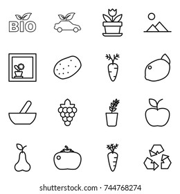 thin line icon set : bio, eco car, flower, landscape, in window, potato, carrot, lemon, mortar, grape, seedling, apple, pear, tomato, recycling