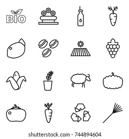 thin line icon set : bio, flower bed, vegetable oil, carrot, lemon, coffee seeds, field, grape, corn, seedling, sheep, pumpkin, tomato, recycling, rake