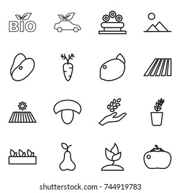 thin line icon set : bio, eco car, flower bed, landscape, beans, carrot, lemon, field, mushroom, harvest, seedling, pear, sprouting, tomato