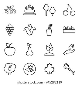 thin line icon set : bio, flower bed, trees, cherry, grape, corn, seedling, apple, pear, sprouting, hand leaf, garden, ecology, maple, blower