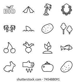 thin line icon set : bio, tent, palm, hawaiian wreath, hammock, shark flipper, potato, trees, cherry, beet, sprouting, fish, rabbit, sow, tomato