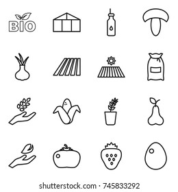 thin line icon set : bio, greenhouse, vegetable oil, mushroom, onion, field, flour, harvest, corn, seedling, pear, hand leaf, tomato, strawberry, egg