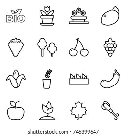 thin line icon set : bio, flower, bed, lemon, berry, trees, cherry, grape, corn, seedling, eggplant, apple, sprouting, maple leaf, blower