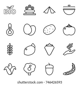 thin line icon set : bio, flower bed, tent, cauldron, thermometer, eggs, potato, tomato, spikelets, lemon, berry, harvest, corn, garden, acorn, peas