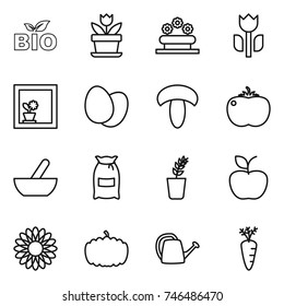 thin line icon set : bio, flower, bed, perishable, in window, eggs, mushroom, tomato, mortar, flour, seedling, apple, pumpkin, watering can, carrot