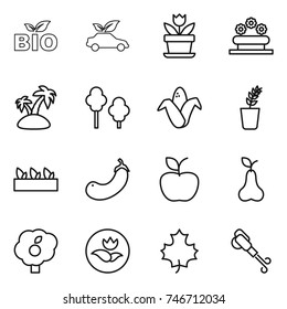 thin line icon set : bio, eco car, flower, bed, island, trees, corn, seedling, eggplant, apple, pear, garden, ecology, maple leaf, blower