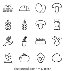 thin line icon set : bio, greenhouse, eggs, mushroom, spikelets, flour, harvest, seedling, beet, sprouting, tomato, strawberry, pile of garbage