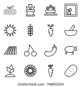 thin line icon set : bio, flower, bed, in window, gas oven, spikelets, carrot, mortar, field, cherry, eggplant, sheep, sprouting, potato
