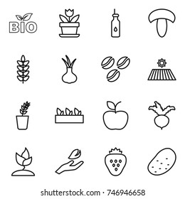 thin line icon set : bio, flower, vegetable oil, mushroom, spikelets, onion, coffee seeds, field, seedling, apple, beet, sprouting, hand leaf, strawberry, potato