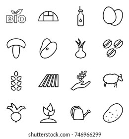 thin line icon set : bio, greenhouse, vegetable oil, eggs, mushroom, beans, onion, coffee seeds, spikelets, field, harvest, sheep, beet, sprouting, watering can, potato