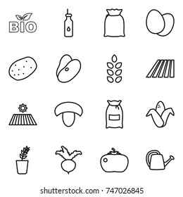 thin line icon set : bio, vegetable oil, flour, eggs, potato, beans, spikelets, field, mushroom, corn, seedling, beet, tomato, watering can