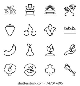 thin line icon set : bio, flower, bed, island, berry, cherry, corn, seedling, eggplant, pear, sprouting, hand leaf, garden, ecology, maple, blower