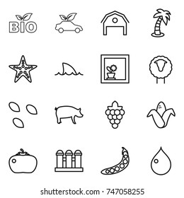 thin line icon set : bio, eco car, barn, palm, starfish, shark flipper, flower in window, sheep, seeds, pig, grape, corn, tomato, grain elevator, peas, drop