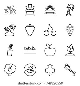thin line icon set : bio, flower, bed, palm, island, berry, cherry, grape, seedling, apple, sprouting, garden, ecology, maple leaf, blower