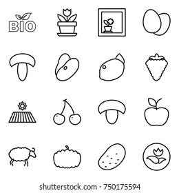 thin line icon set : bio, flower, in window, eggs, mushroom, beans, lemon, berry, field, cherry, apple, sheep, pumpkin, potato, ecology