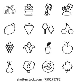 thin line icon set : bio, flower, palm, island, lemon, berry, trees, cherry, grape, corn, seedling, apple, pear, garden, ecology, maple leaf