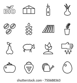 thin line icon set : bio, greenhouse, vegetable oil, onion, coffee seeds, spikelets, field, seedling, pear, sheep, sprouting, sow, tomato, strawberry, watering can, egg